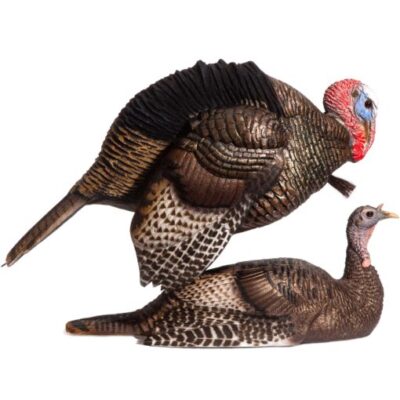 Dave Smith Decoys DSD Mating Motion Pair Turkey Decoys