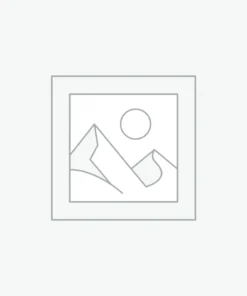 Large Pistol Primers